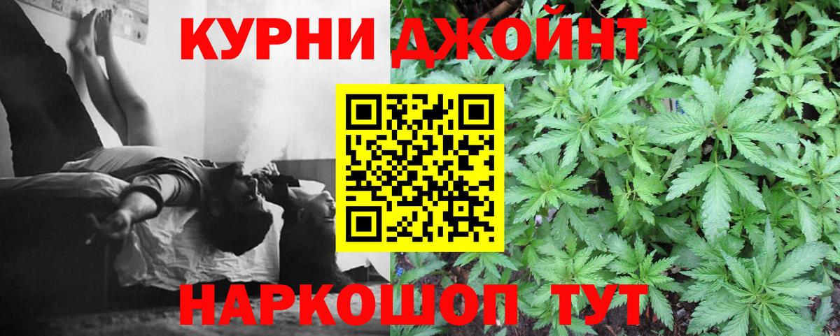 Марихуана сатива Урус-Мартан